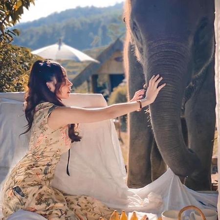 3 Pok Maewang Jinxiang Gold Elephant Park Mae Wang Exteriör bild