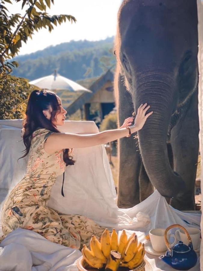 3 Pok Maewang Jinxiang Gold Elephant Park Mae Wang Exteriör bild