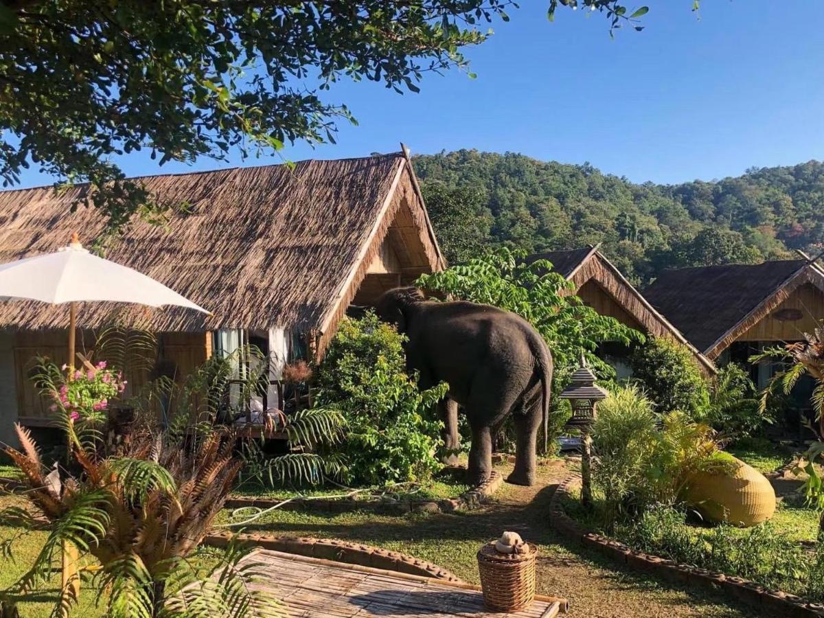 3 Pok Maewang Jinxiang Gold Elephant Park Mae Wang Exteriör bild