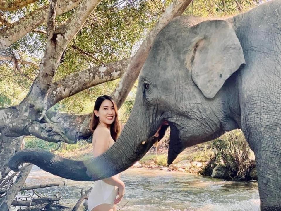 3 Pok Maewang Jinxiang Gold Elephant Park Mae Wang Exteriör bild