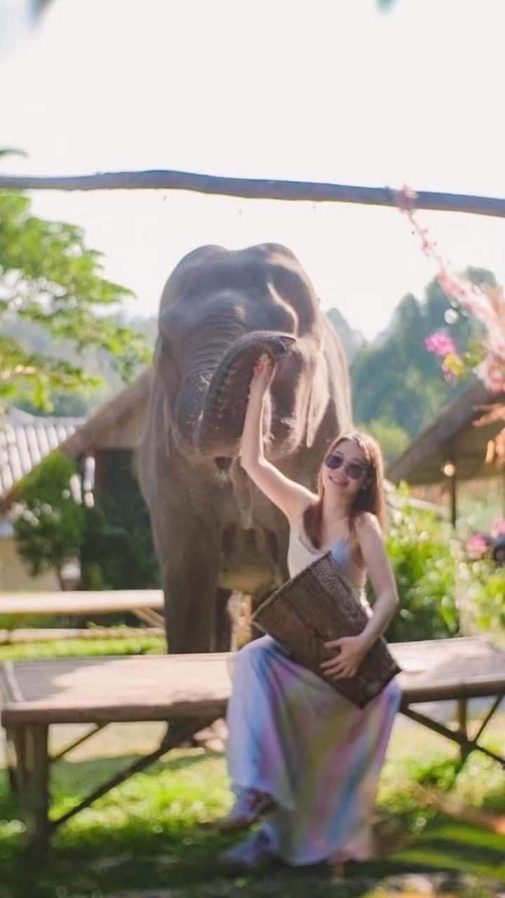 3 Pok Maewang Jinxiang Gold Elephant Park Mae Wang Exteriör bild