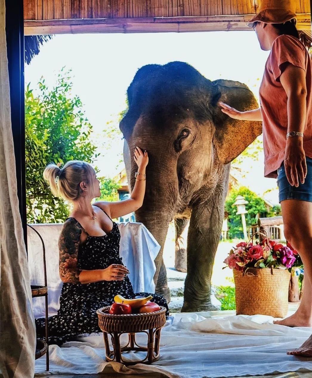 3 Pok Maewang Jinxiang Gold Elephant Park Mae Wang Exteriör bild
