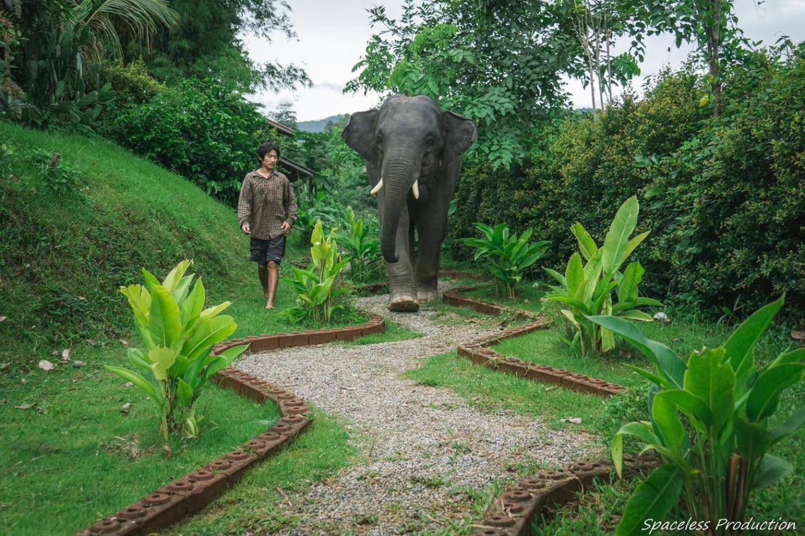 3 Pok Maewang Jinxiang Gold Elephant Park Mae Wang Exteriör bild