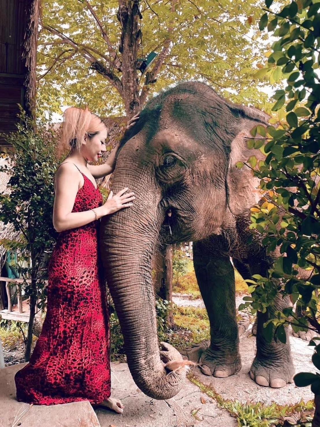 3 Pok Maewang Jinxiang Gold Elephant Park Mae Wang Exteriör bild