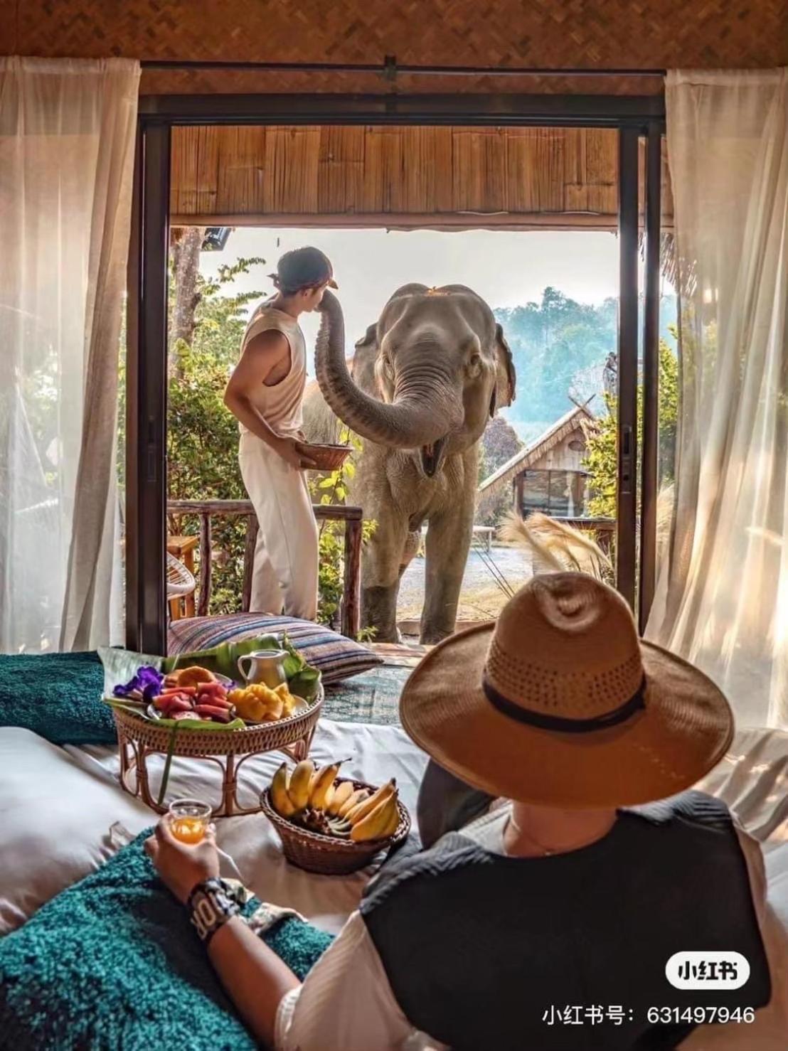 3 Pok Maewang Jinxiang Gold Elephant Park Mae Wang Exteriör bild