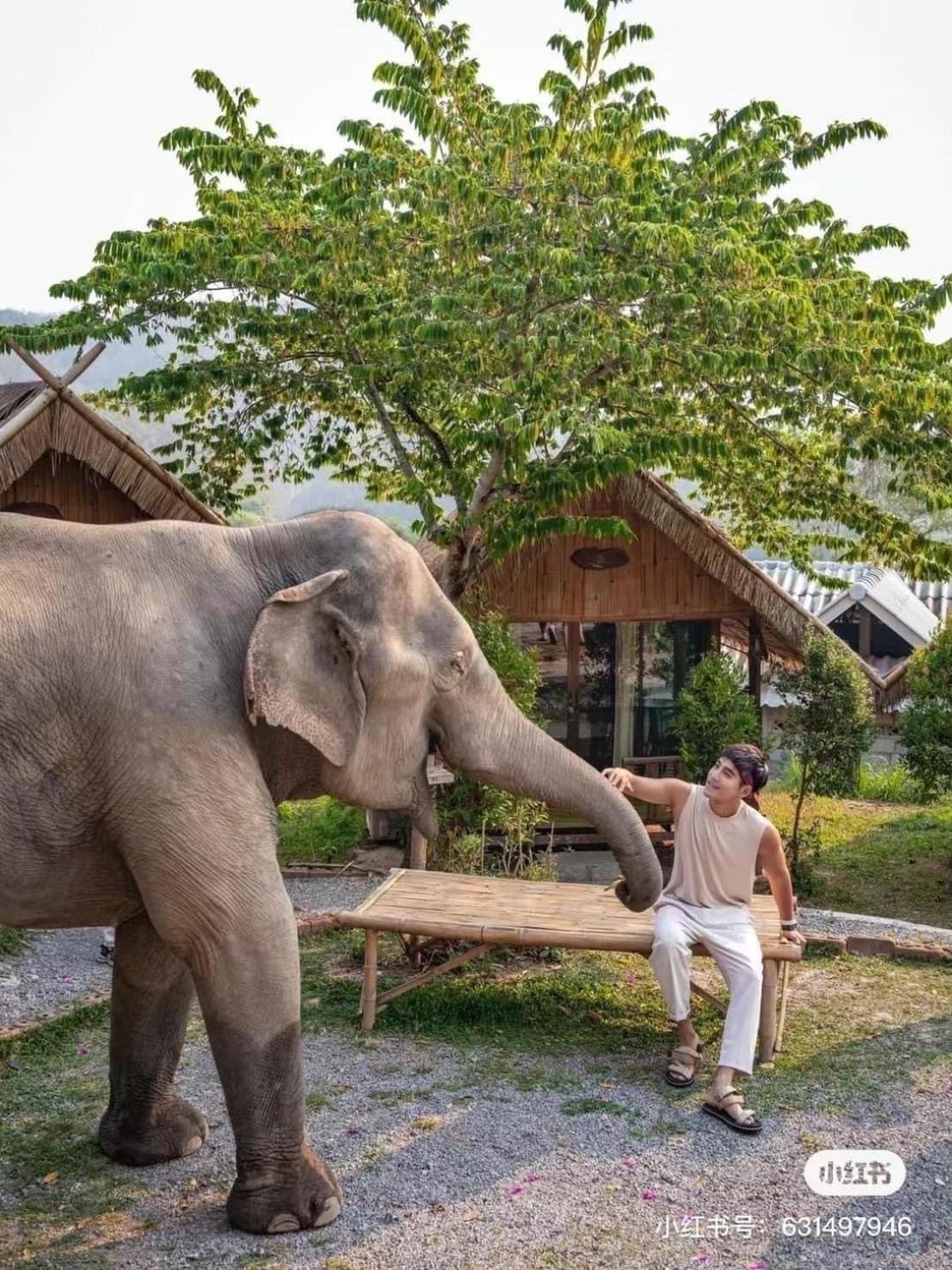 3 Pok Maewang Jinxiang Gold Elephant Park Mae Wang Exteriör bild