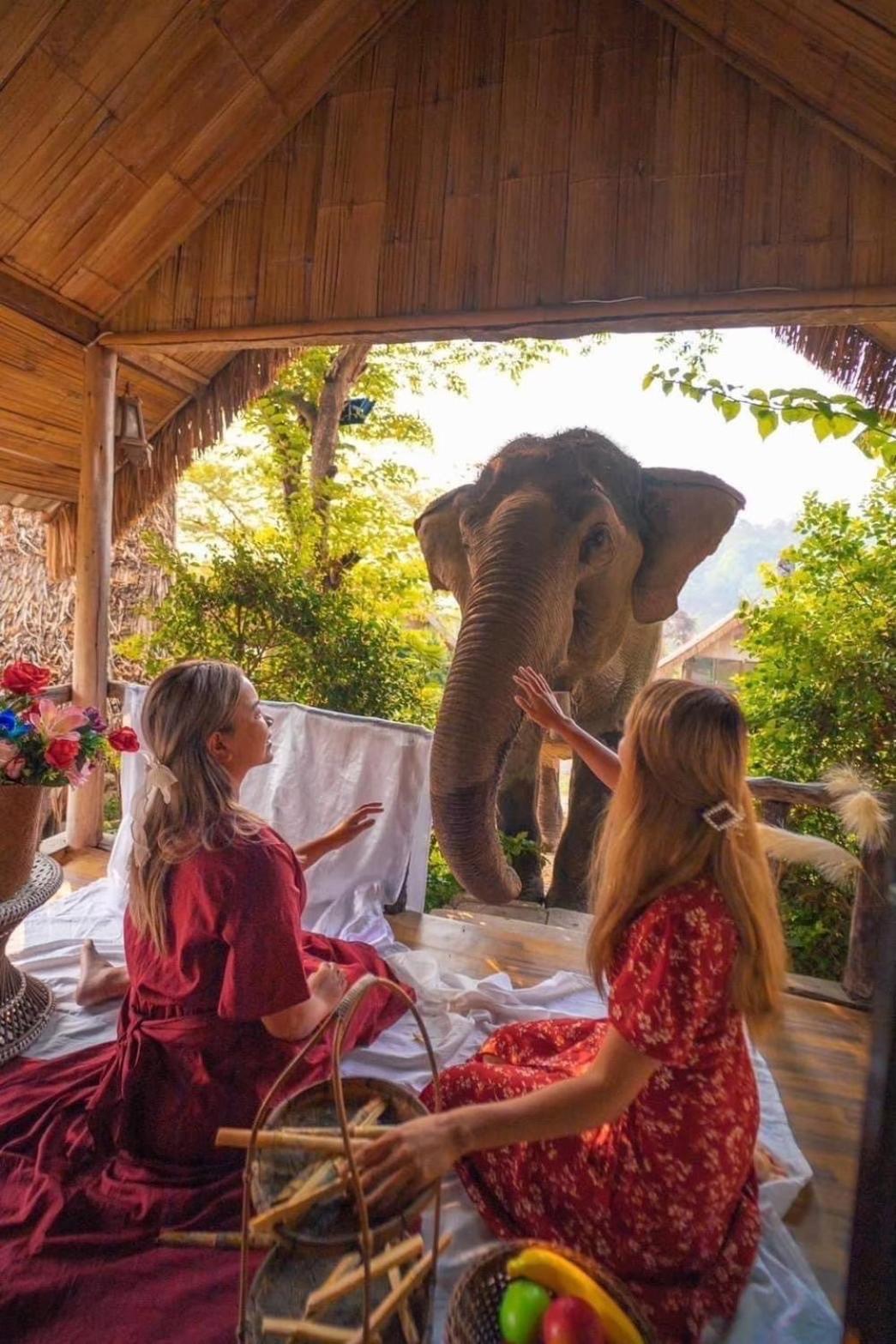 3 Pok Maewang Jinxiang Gold Elephant Park Mae Wang Exteriör bild