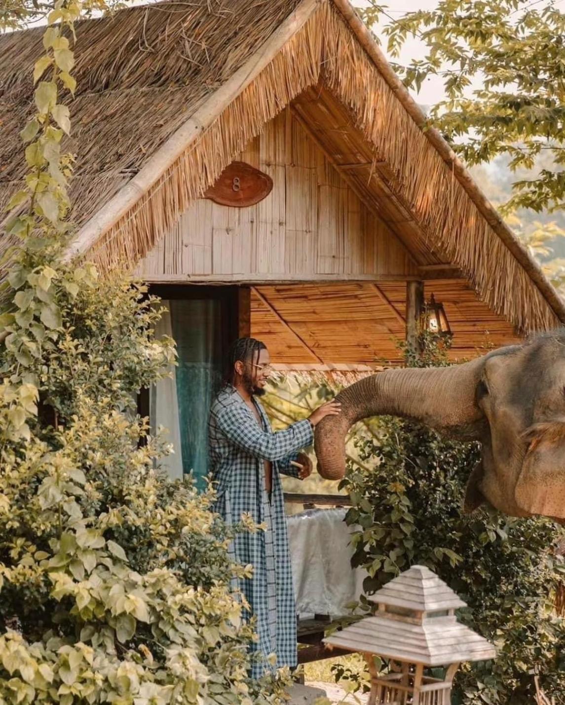 3 Pok Maewang Jinxiang Gold Elephant Park Mae Wang Exteriör bild