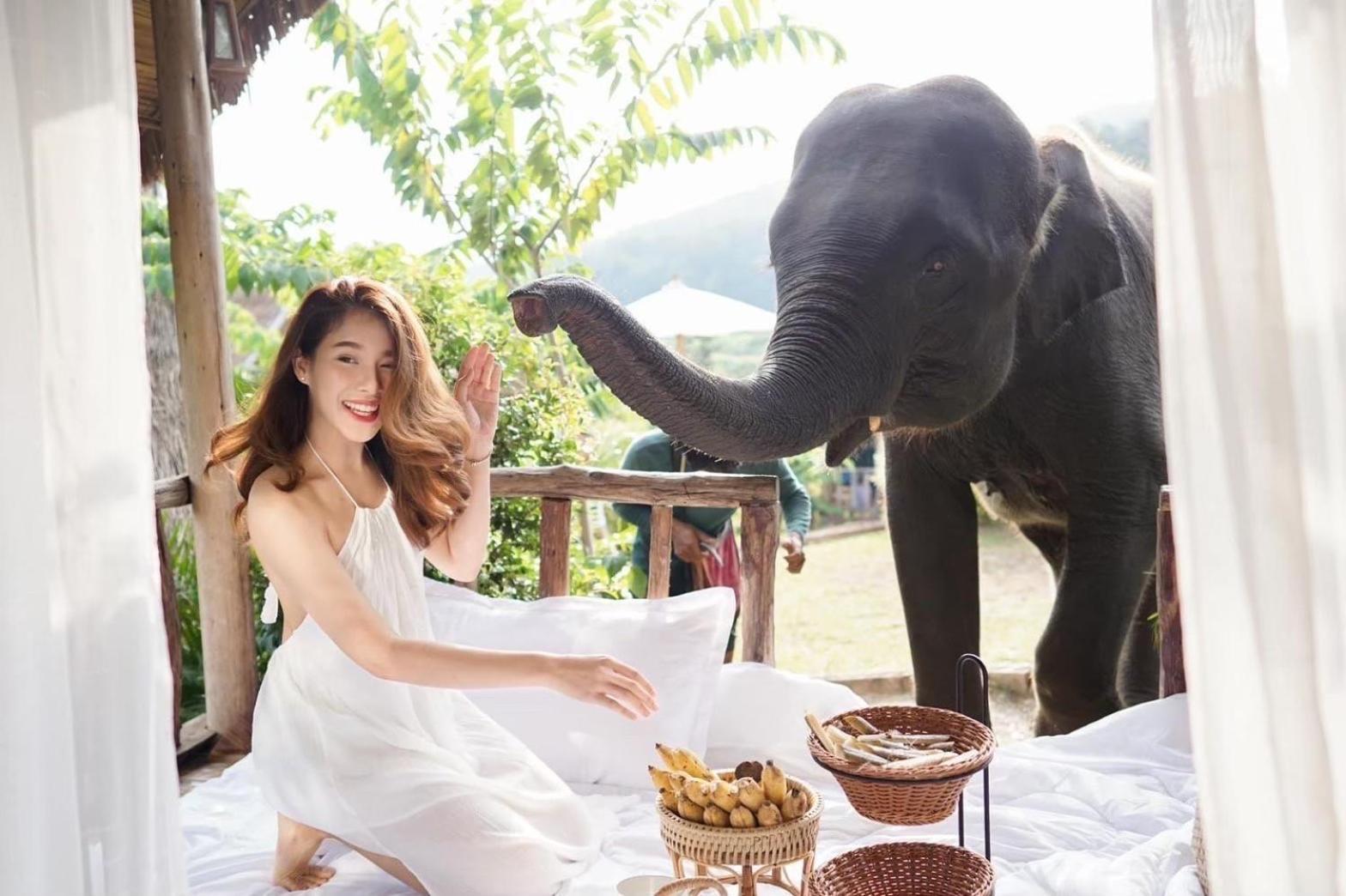 3 Pok Maewang Jinxiang Gold Elephant Park Mae Wang Exteriör bild
